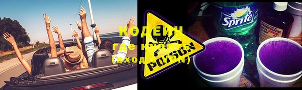крисы Белокуриха