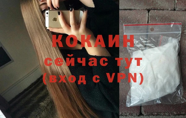 прущие грибы Белоозёрский