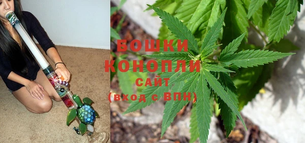 прущие грибы Белоозёрский