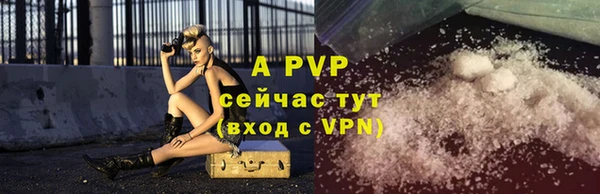 крисы Белокуриха